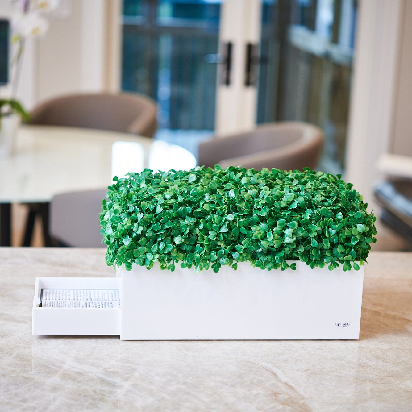 Boxwood Bencher Set - Waterdale Collection