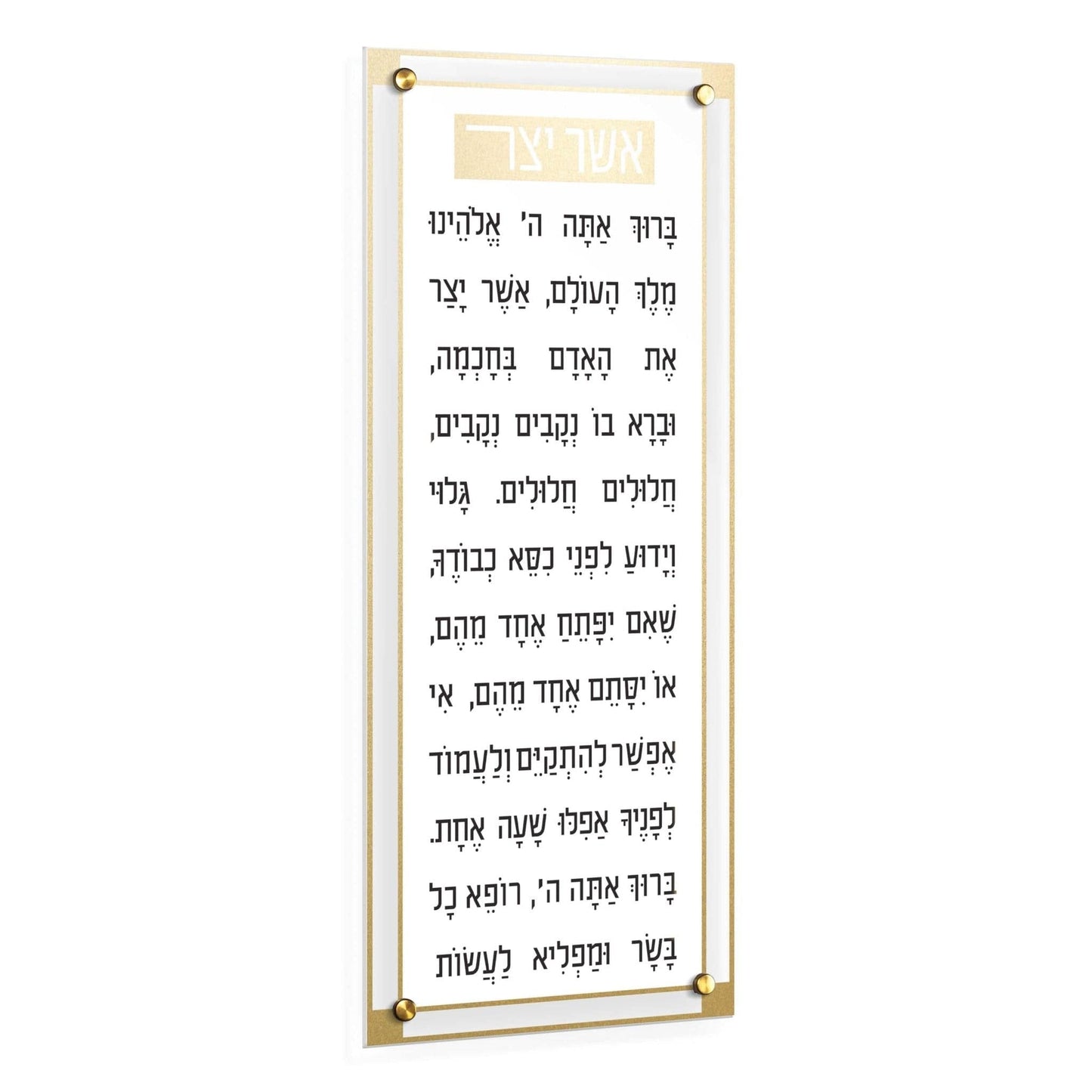 Classic 2.0 Basics Asher Yatzar - Waterdale Collection