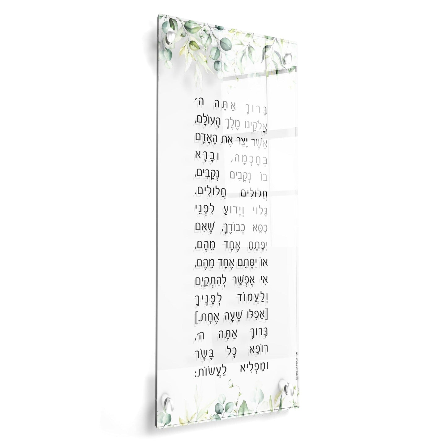 Leaf Asher Yatzar - Waterdale Collection