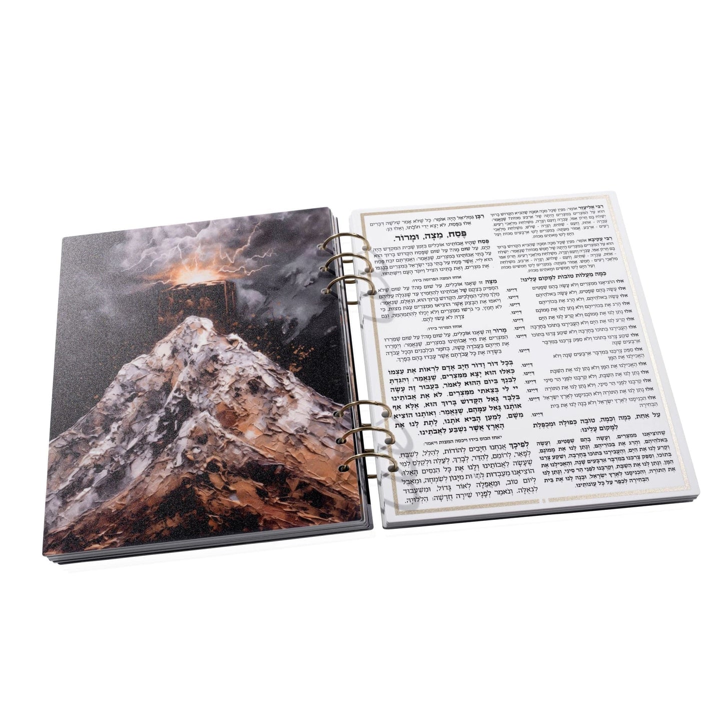 Painted by Batya Lucite Haggadah - Waterdale Collection