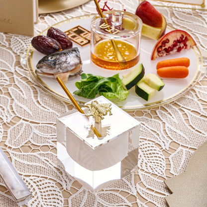 Classic 2.0 Lucite Simanim Tray