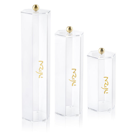 Classic Megillah Case - Waterdale Collection