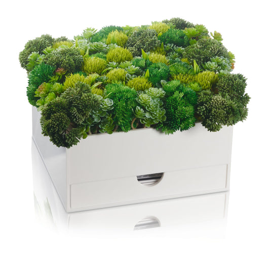 Greenery Vase Bencher Set - Waterdale Collection