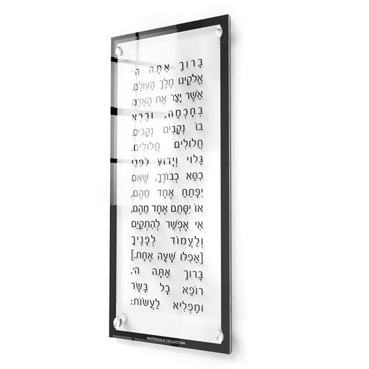 Modern Asher Yatzar - Waterdale Collection