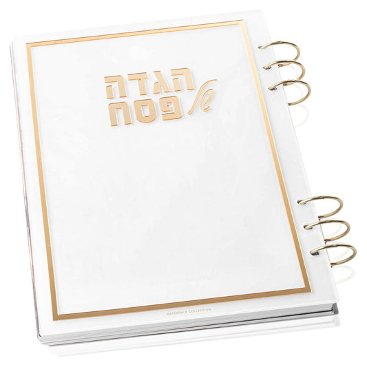 Painted by Batya Lucite Haggadah - Waterdale Collection