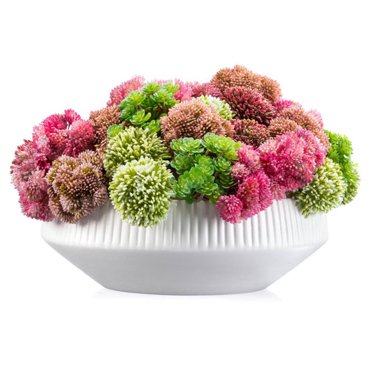 Succulent Pink White Flower Vase