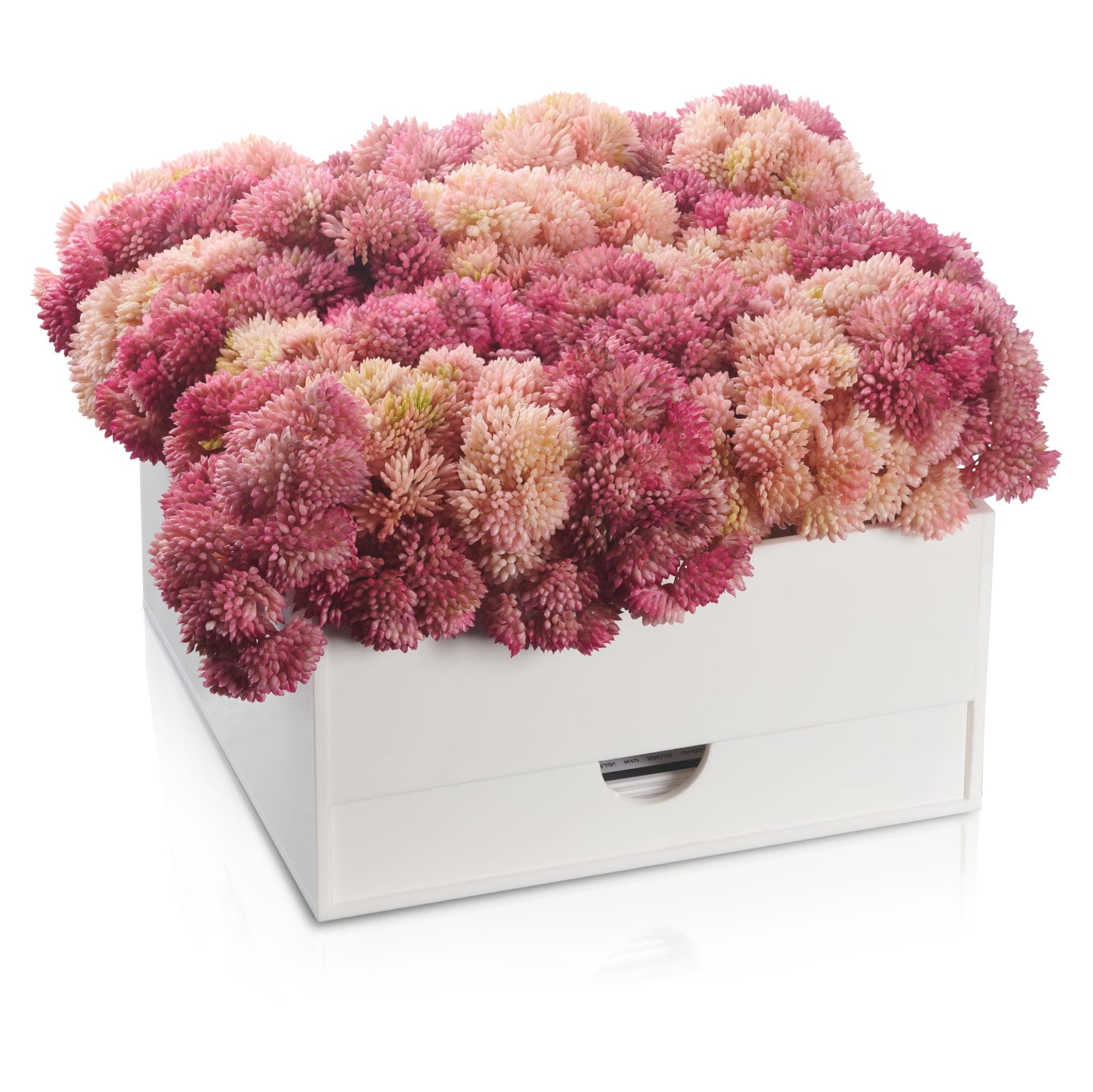 Pink Vase Bencher Set - Waterdale Collection